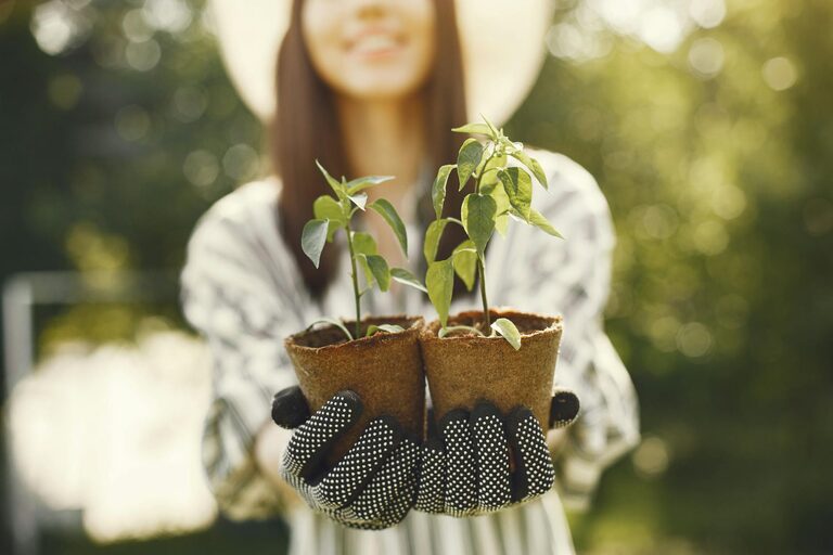 Tips for Creating a Sustainable Home Garden on a Budget